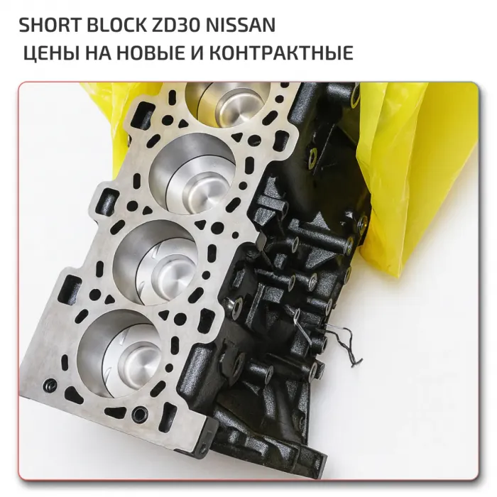 Engine Nissan ZD30