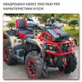 🇨🇳 Мотовездеходы AODES Pathcross 1000 MUD PRO