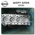 Cylinder Block ZD30