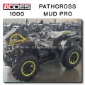 Квадроцикл PATHCROSS MAX 1000 см³ (ODES)