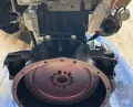 Engine Perkins 1103C-33T