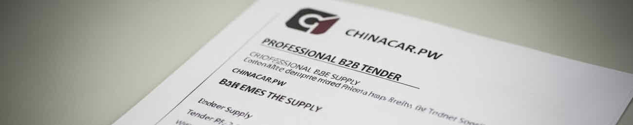 Strategic contract negotiation and supplier audit in China for Morocco B2B